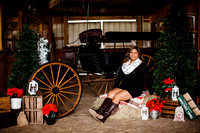 Christmas Barn Mini- B. Almazan